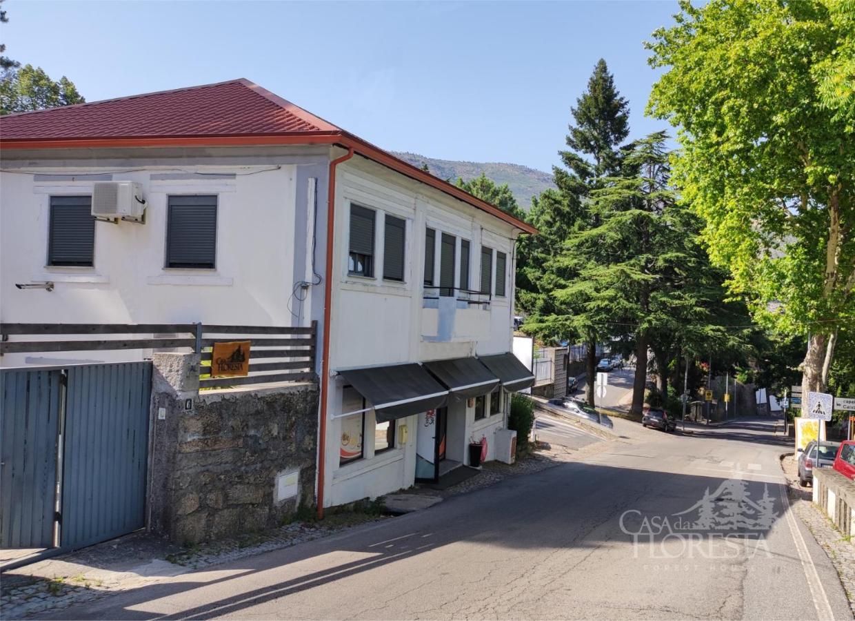 Casa Da Floresta Covilhã Dış mekan fotoğraf
